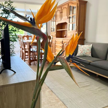 Апартаменти Piso Centrico Corazon De Aridane Лос-Льянос-де-Арідане Екстер'єр фото
